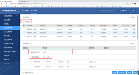 山東省公共資源交易中心資產處置交易系統(tǒng)（文物拍賣）用戶操作手冊（代理機構/出讓人版）